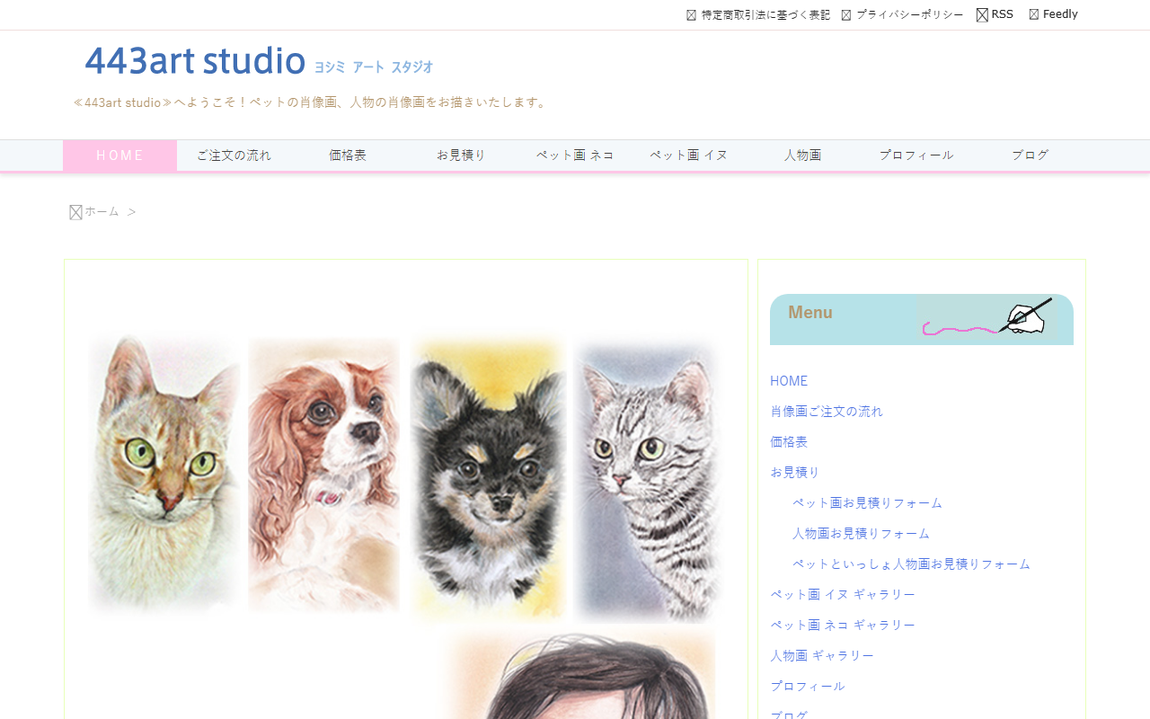 443artstudio.com screenshot