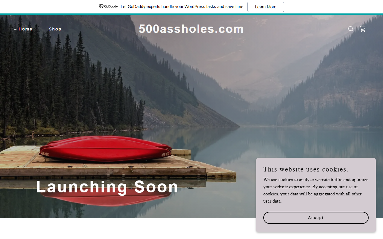 500assholes.com screenshot