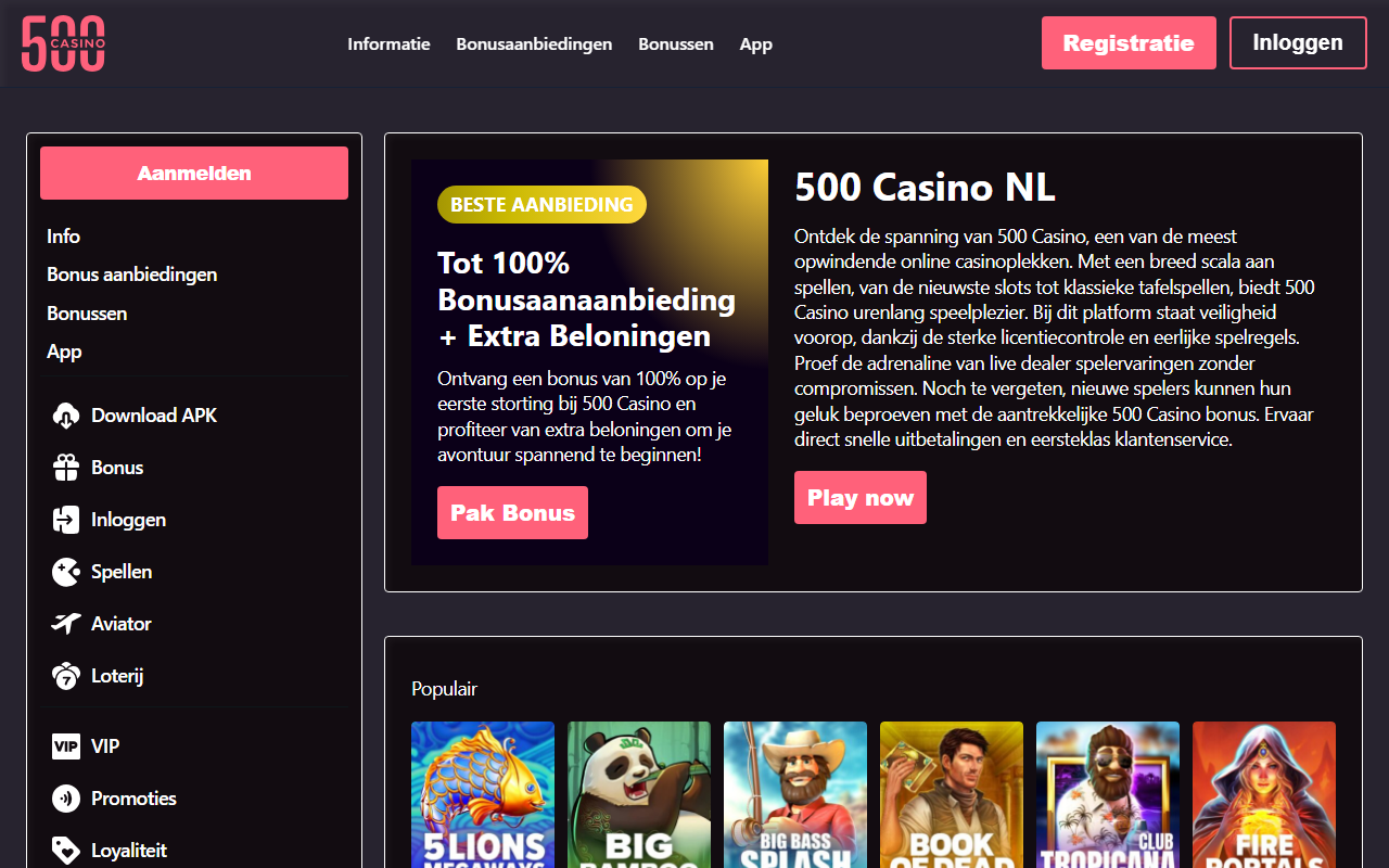 500casinonl.com screenshot