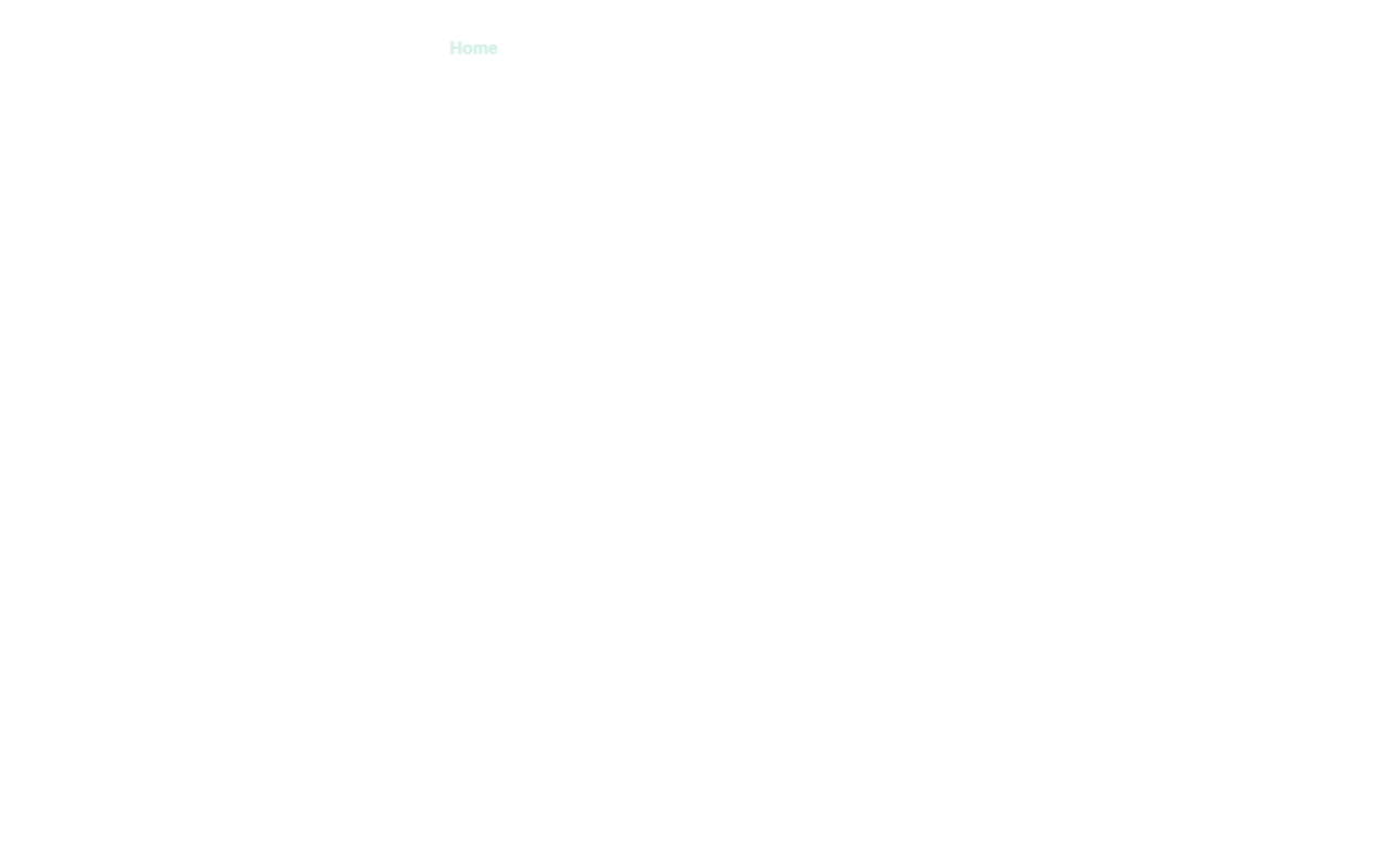 500designusa.com screenshot