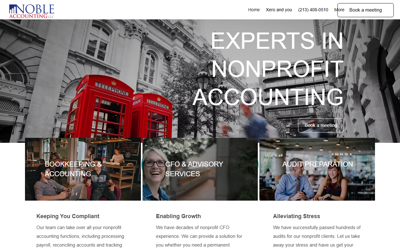 501c3accounting.com screenshot