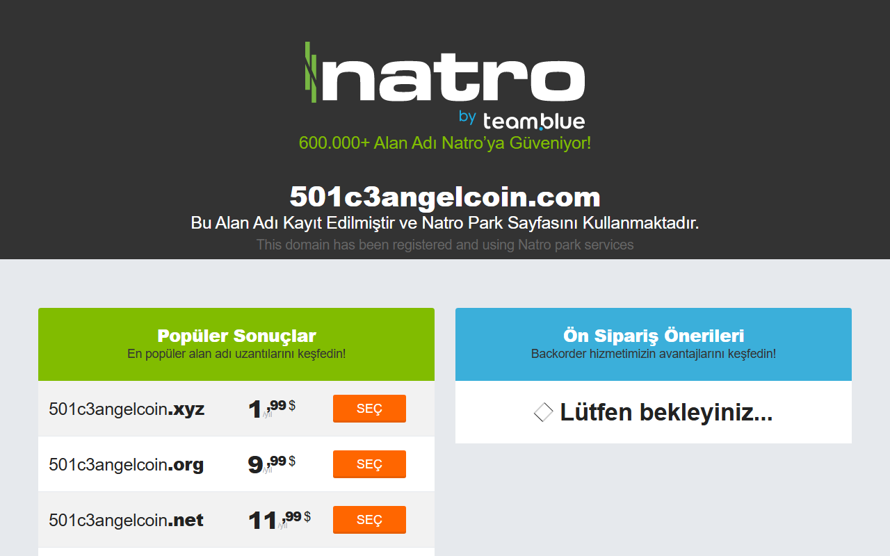 501c3angelcoin.com screenshot