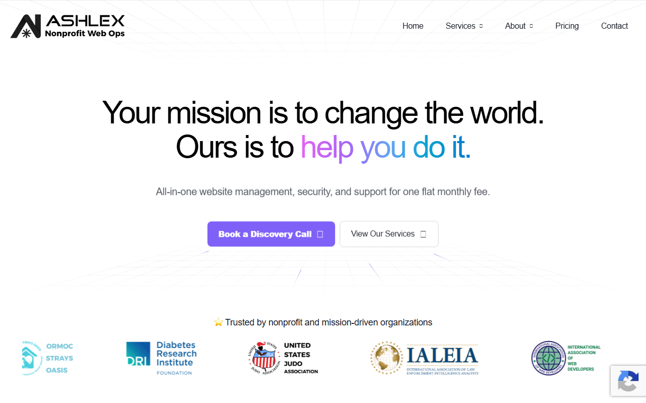 501c3hosting.com screenshot