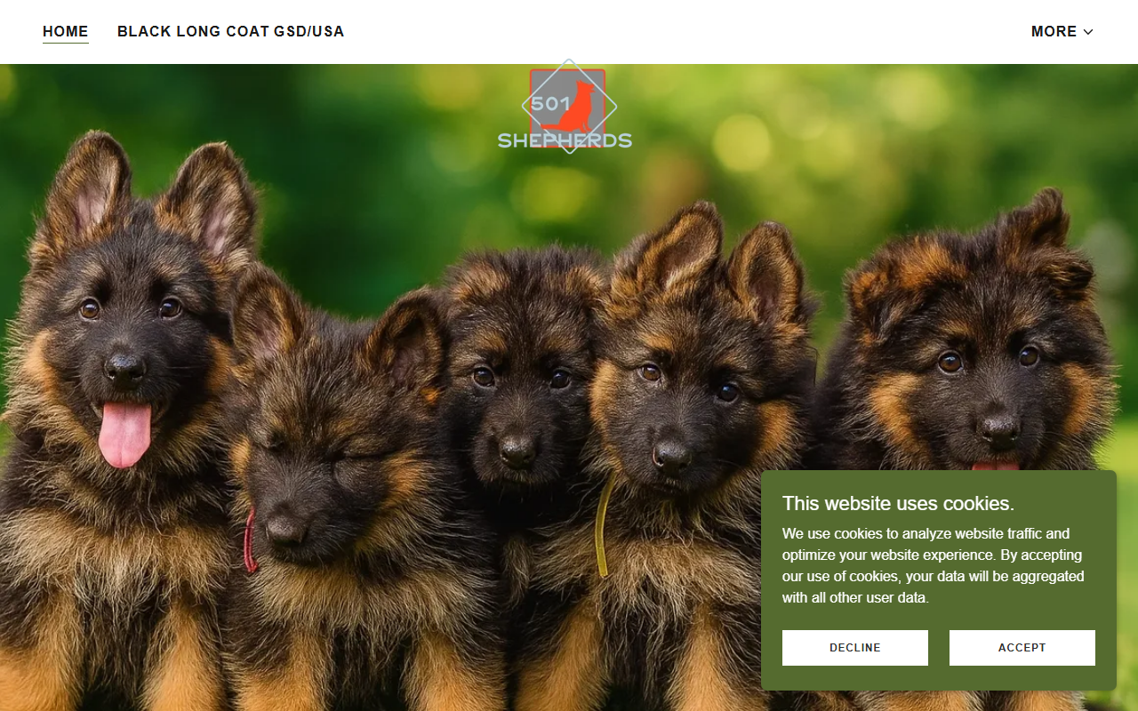 501shepherds.com screenshot