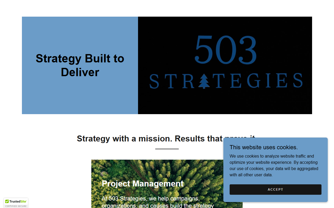 503-strategies.com screenshot