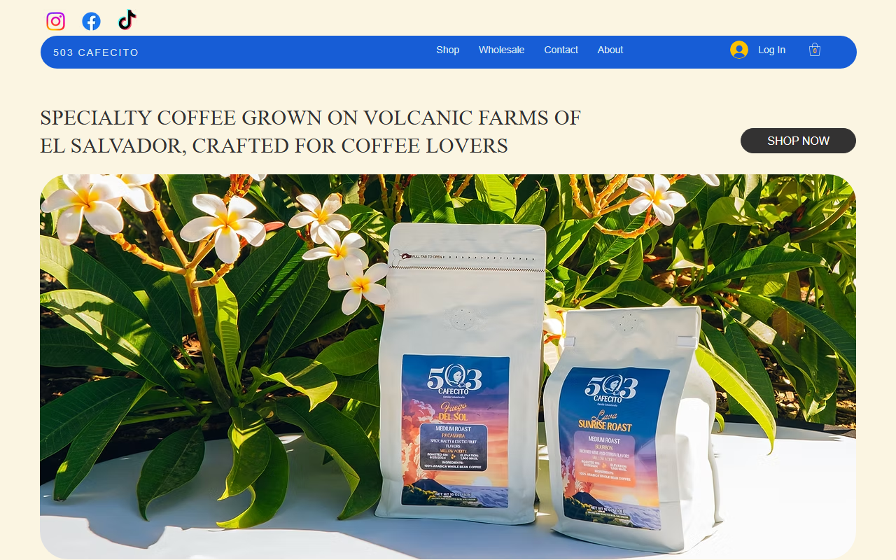 503cafecito.com screenshot