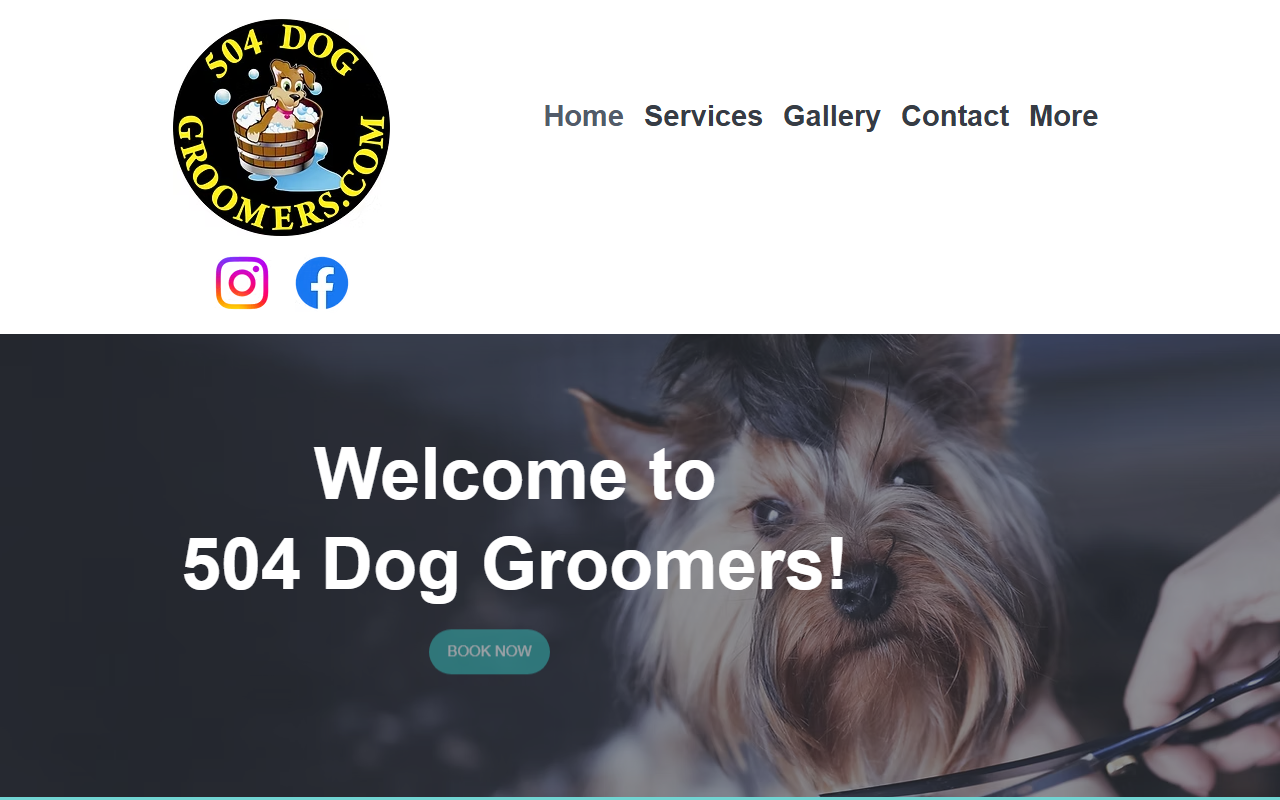 504doggroomers.com screenshot