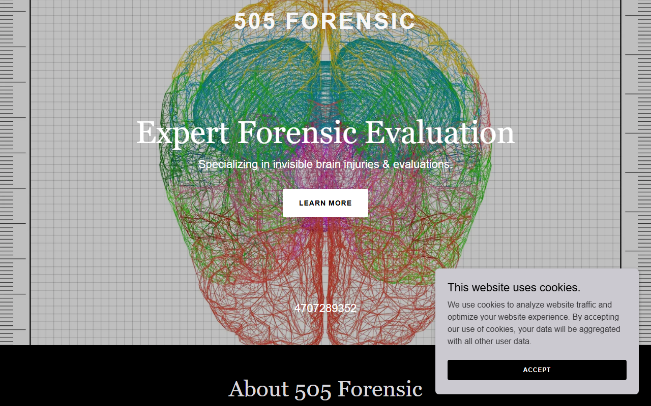 505forensic.com screenshot