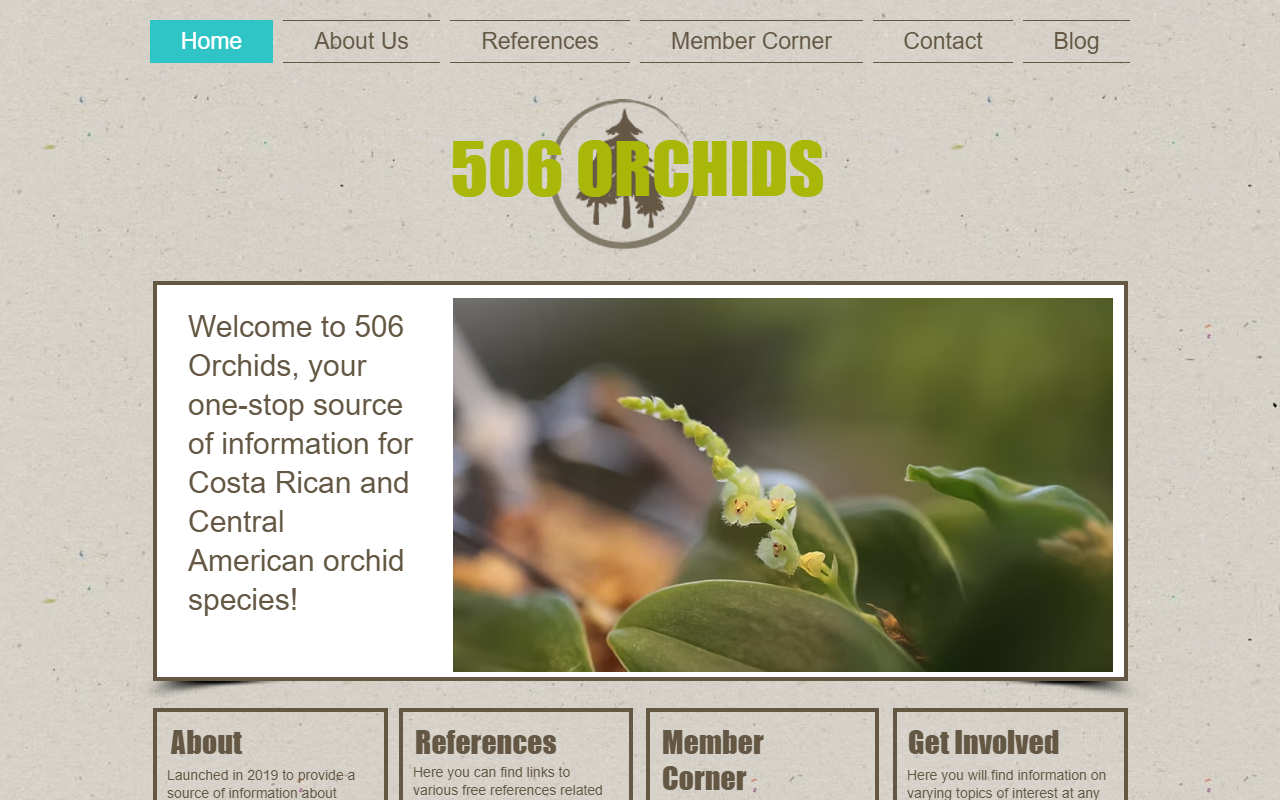 506orchidspecies.com screenshot