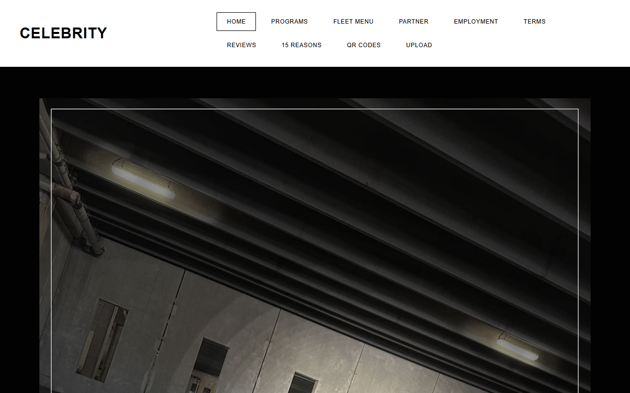 508limousine.com screenshot