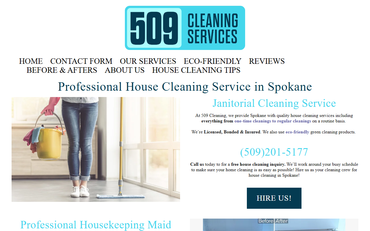 509cleaning.com screenshot