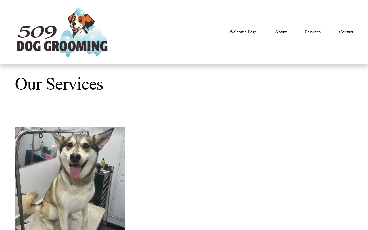 509doggrooming.com screenshot