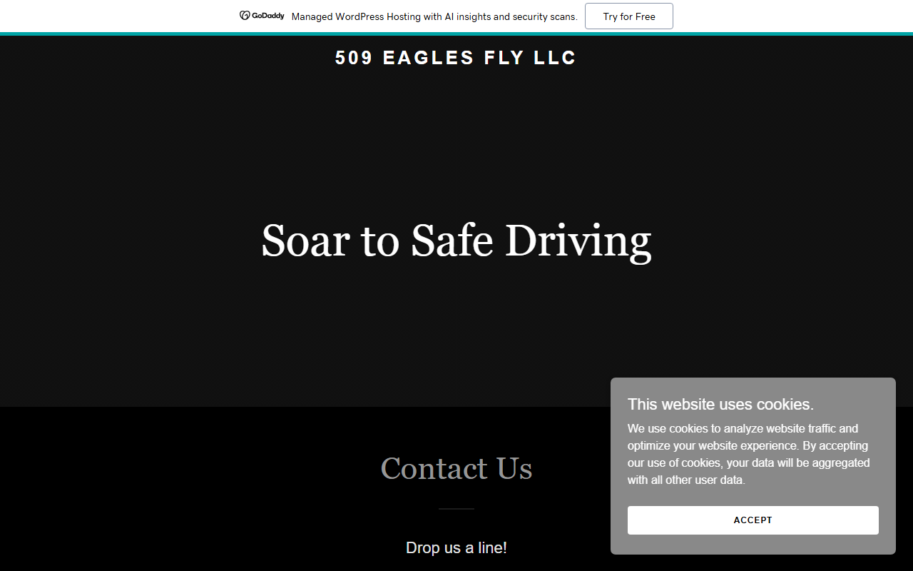 509eaglesflyllc.com screenshot