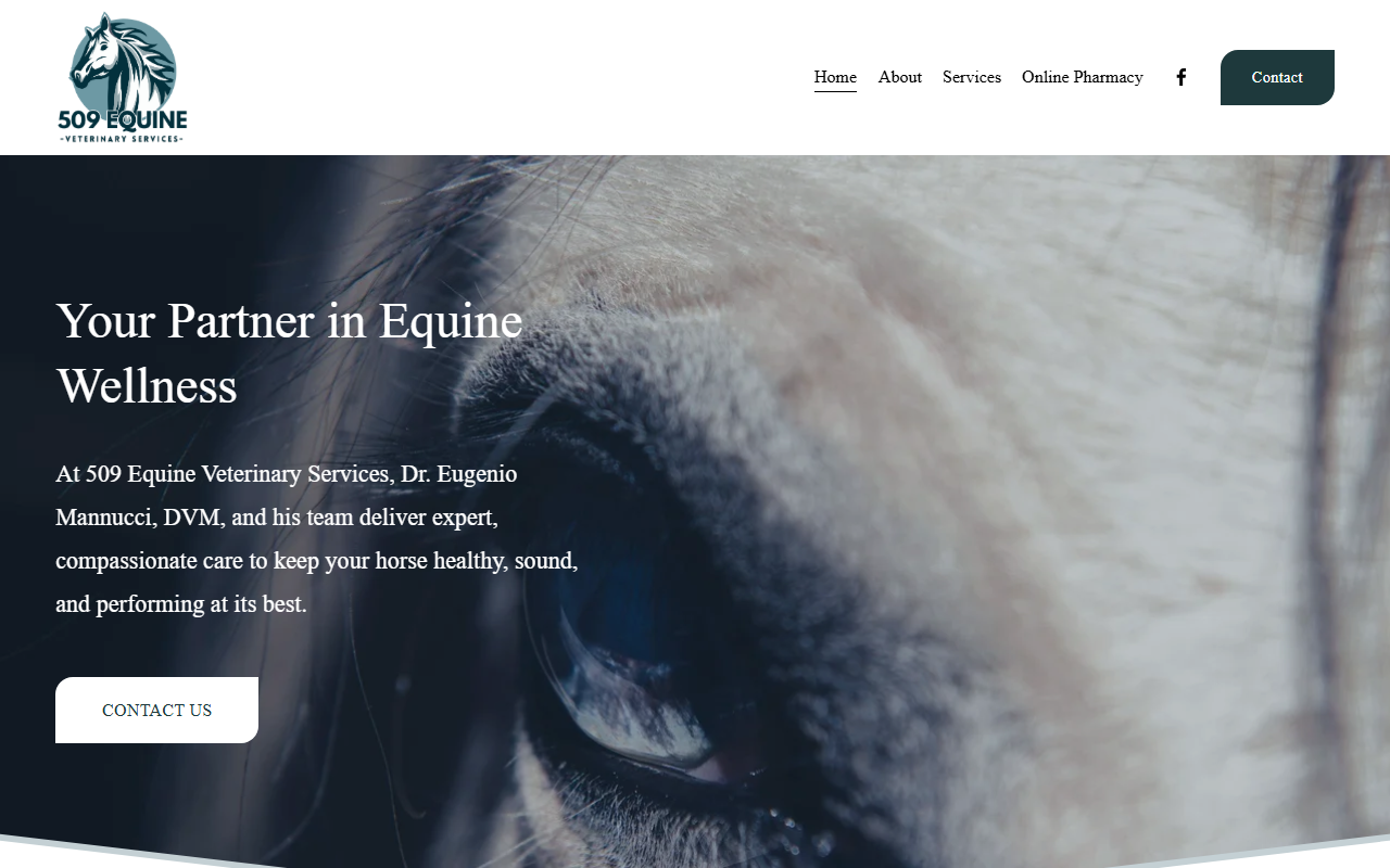 509equinevet.com screenshot