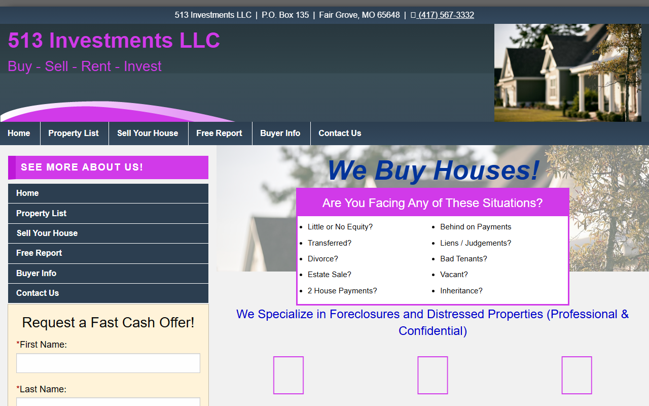 513investments.com screenshot