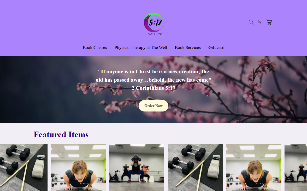 517wellness.com screenshot