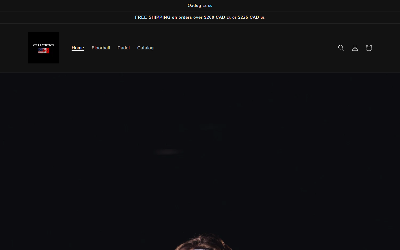 519floorball.com screenshot