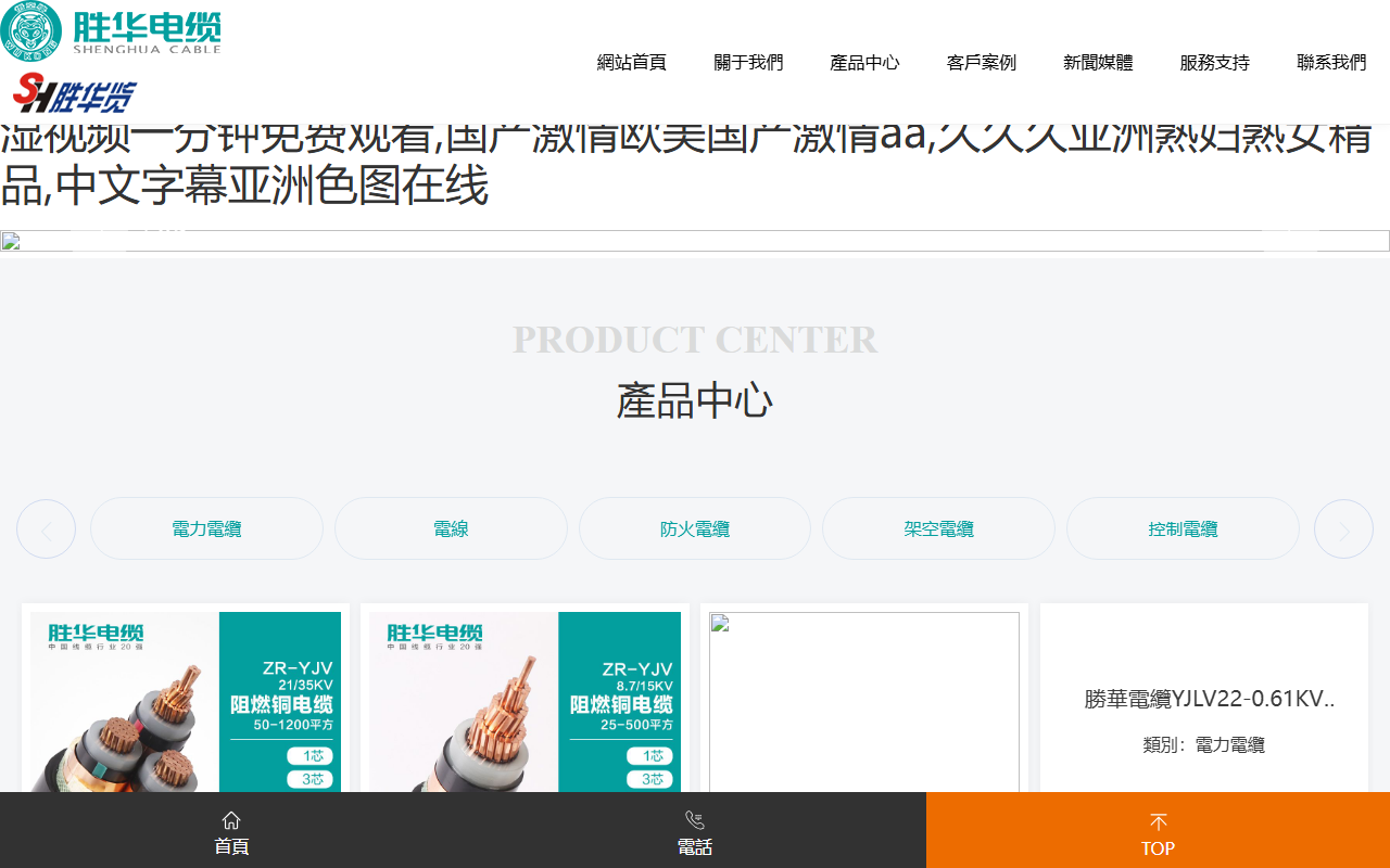527autosupplies.com screenshot