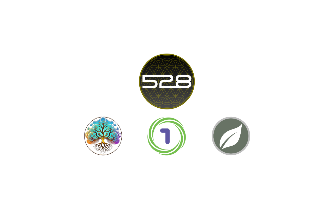 528-holdings.com screenshot