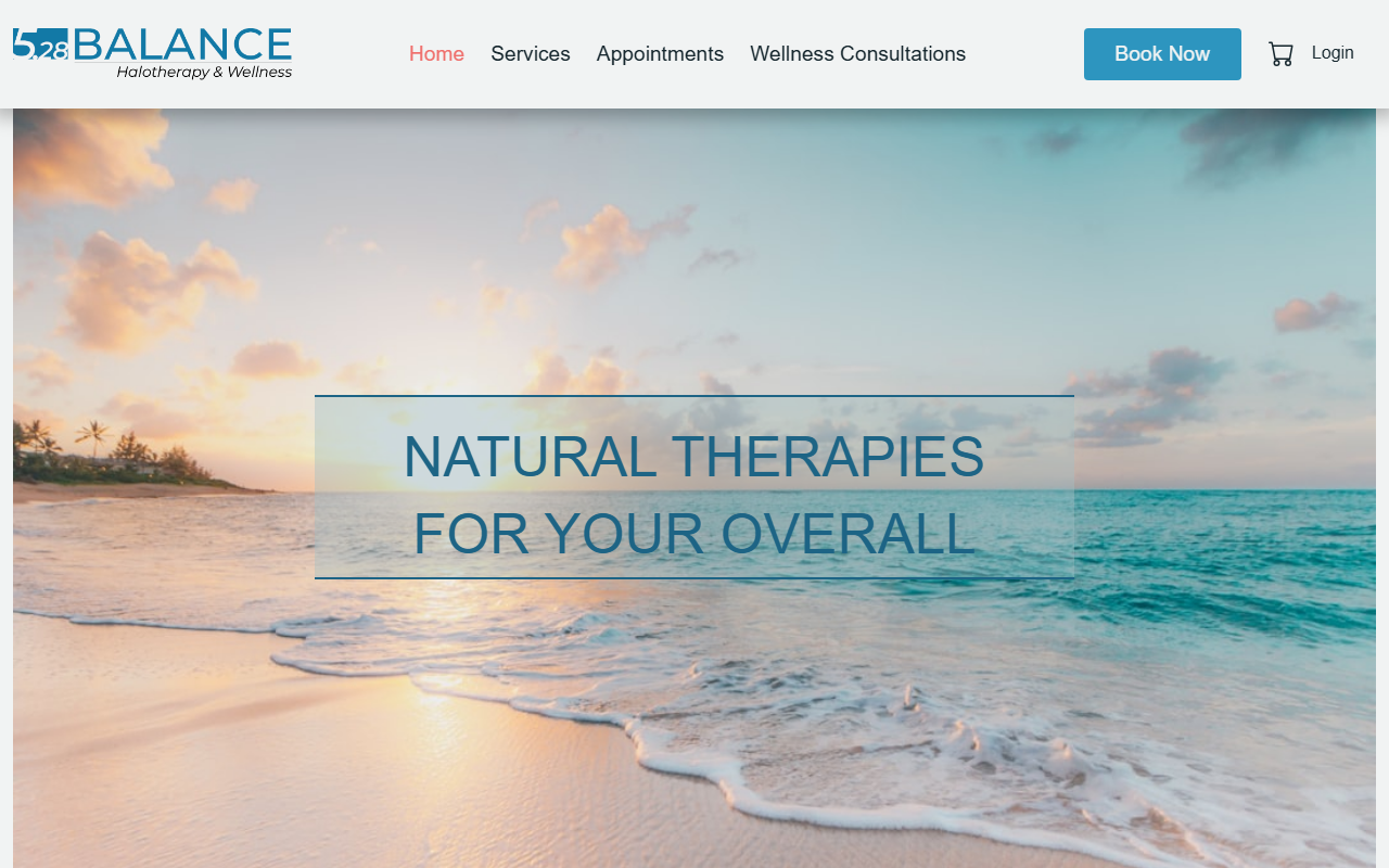 528balance.com screenshot