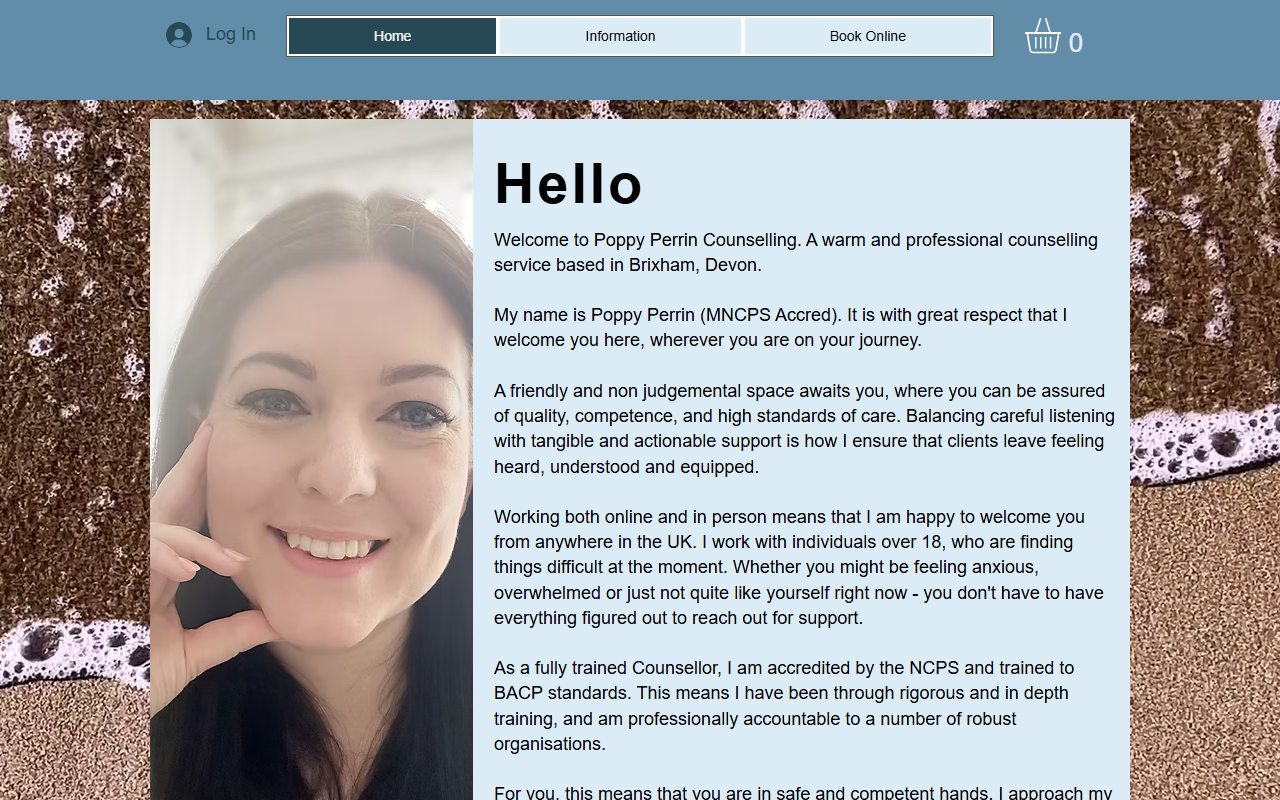 528counselling.com screenshot