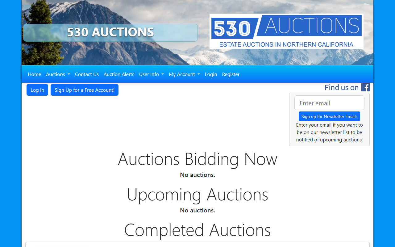 530auctions.com screenshot