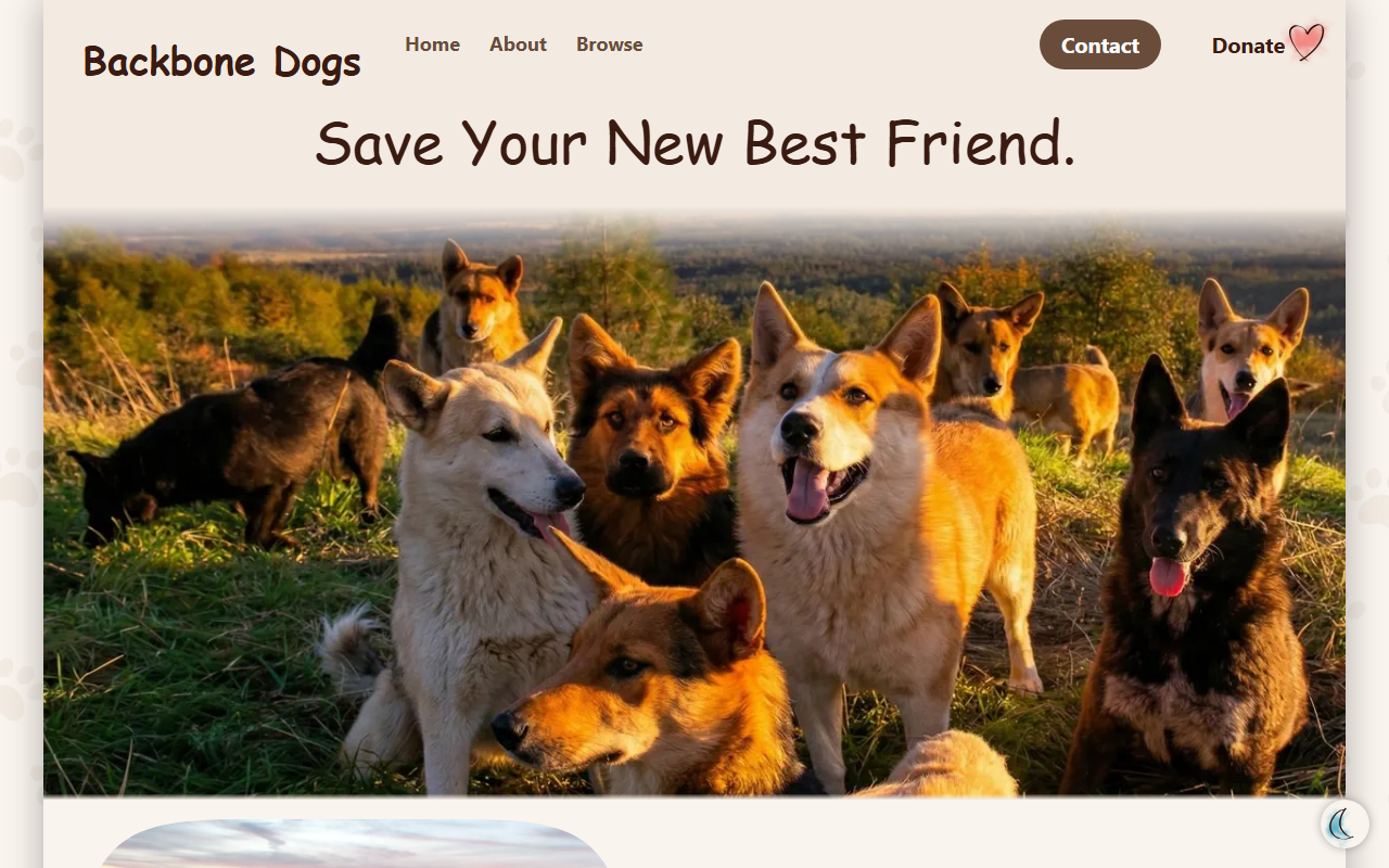 530saveadog.com screenshot
