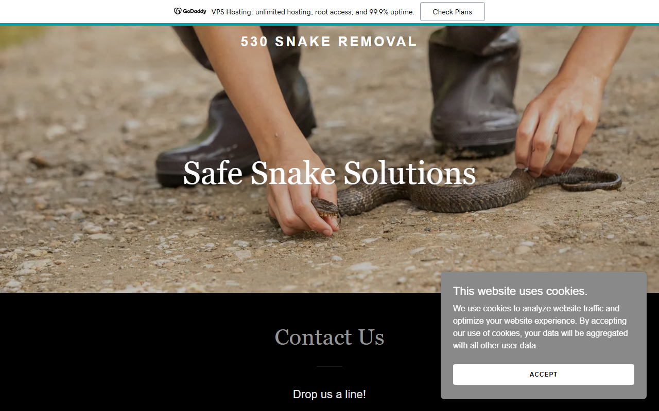 530snakeremoval.com screenshot