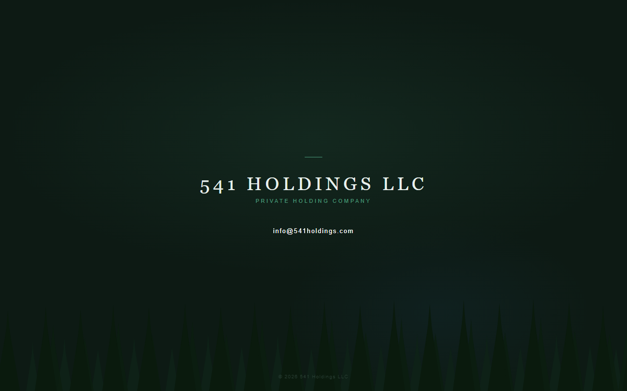 541holdings.com screenshot
