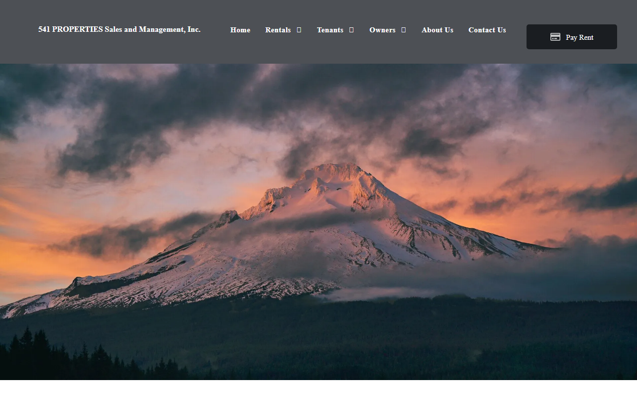 541properties.com screenshot