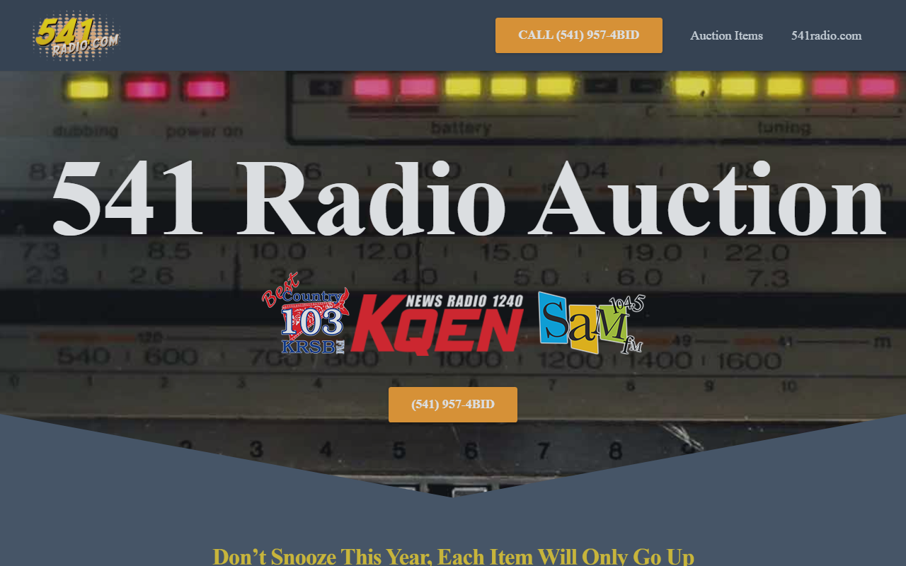 541radioauction.com screenshot