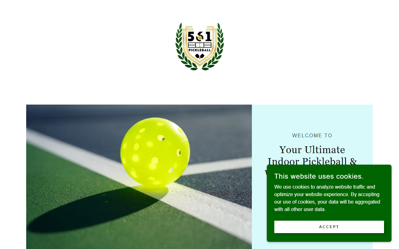 561pickleball.com screenshot
