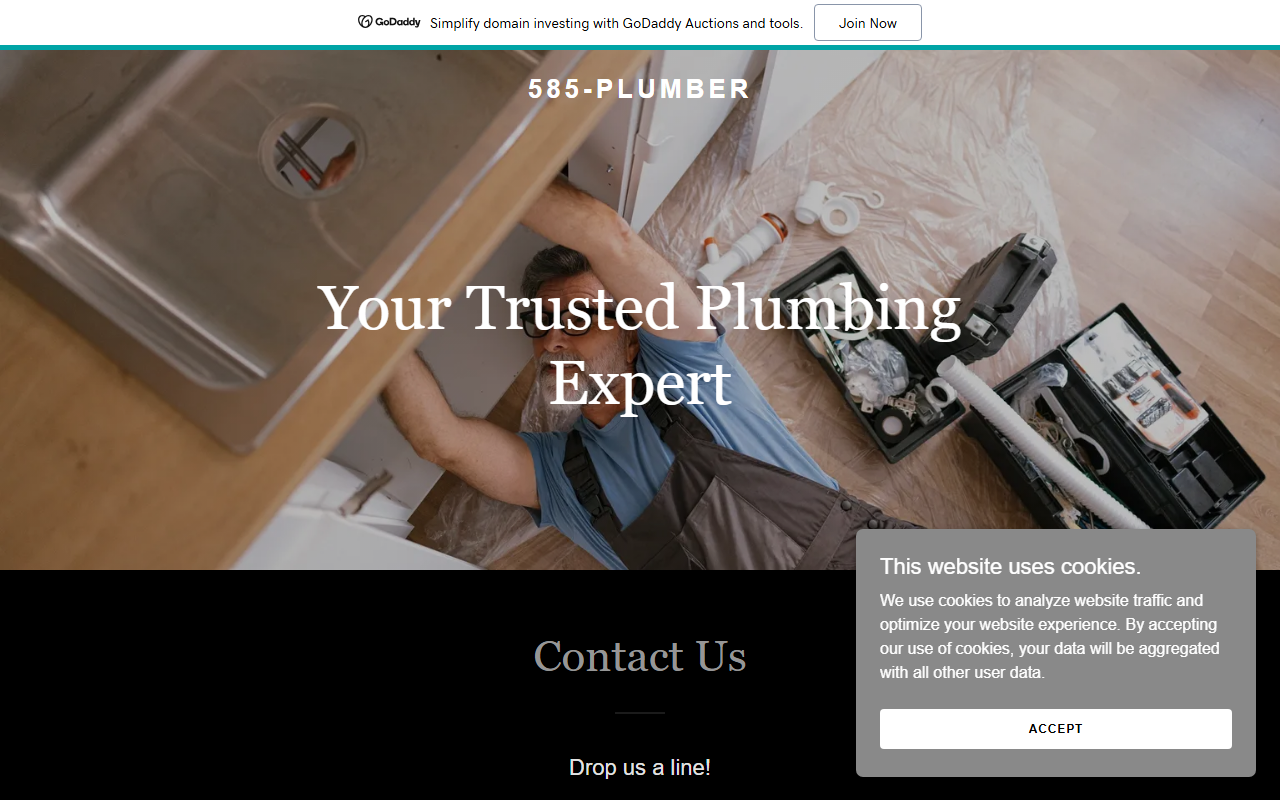 585-plumber.com screenshot