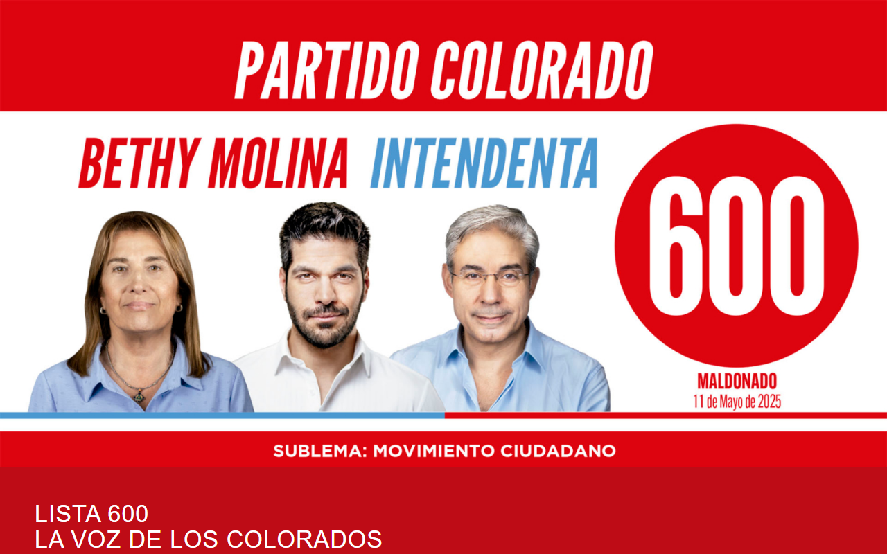 600maldonado.com screenshot