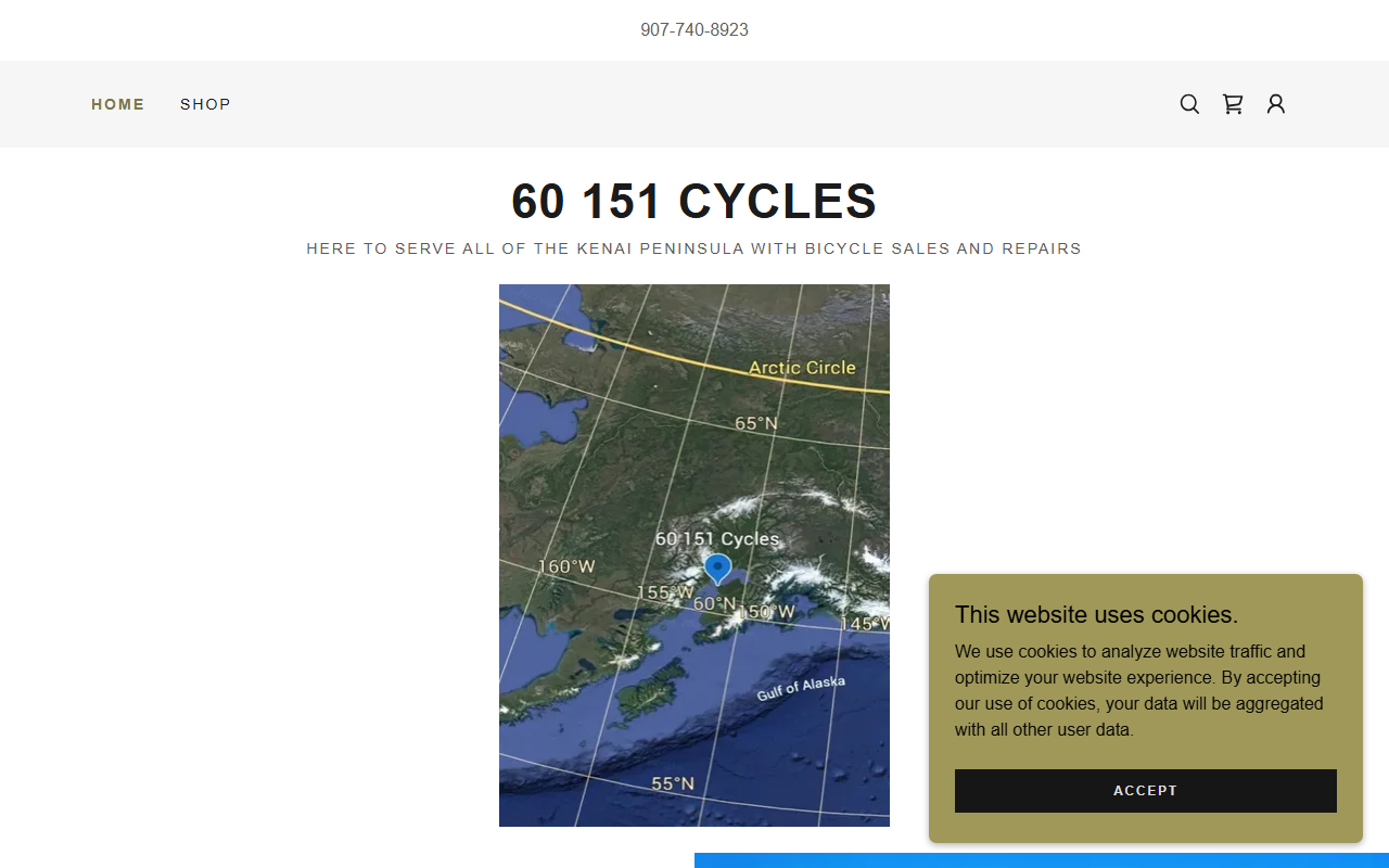 60151cycles.com screenshot