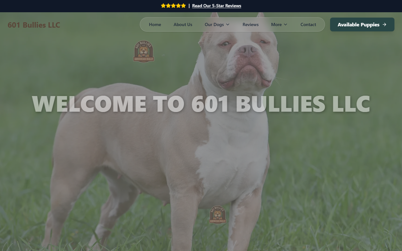 601bullies.com screenshot