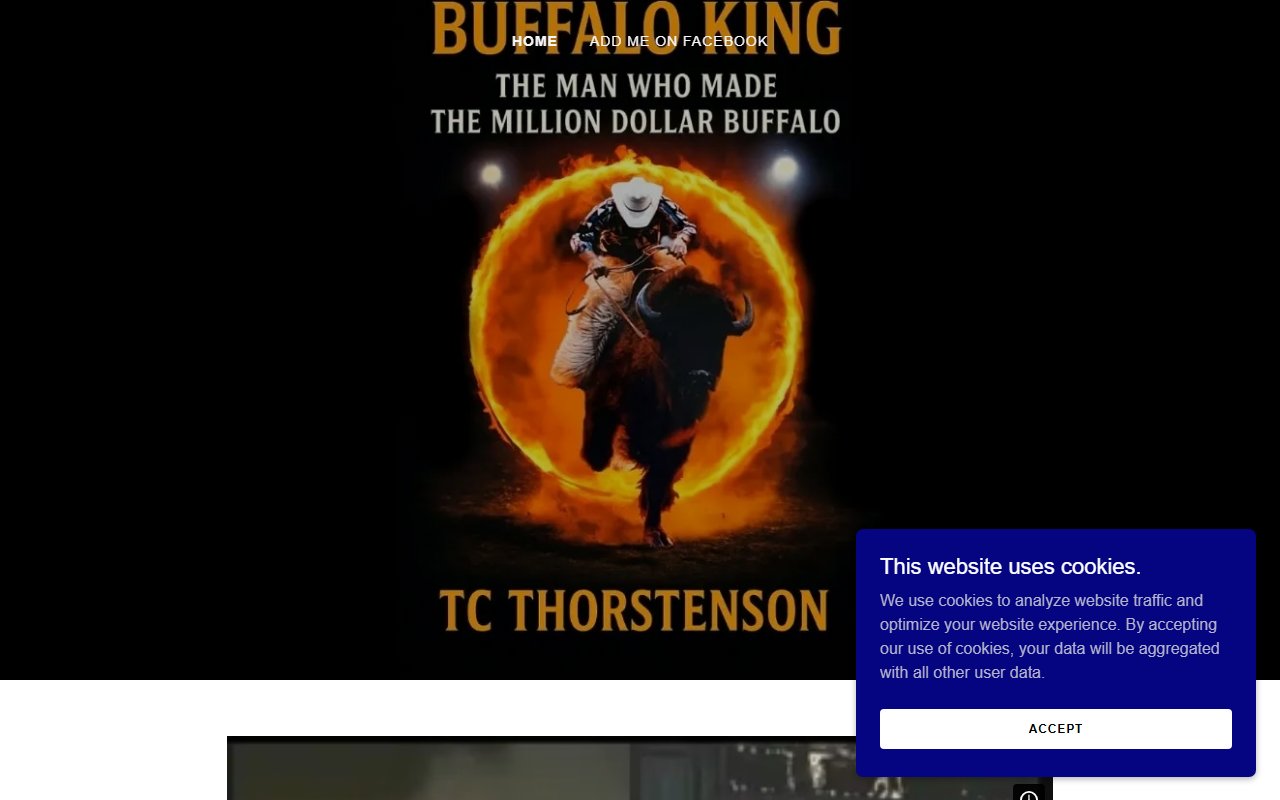 602buffalo.com screenshot