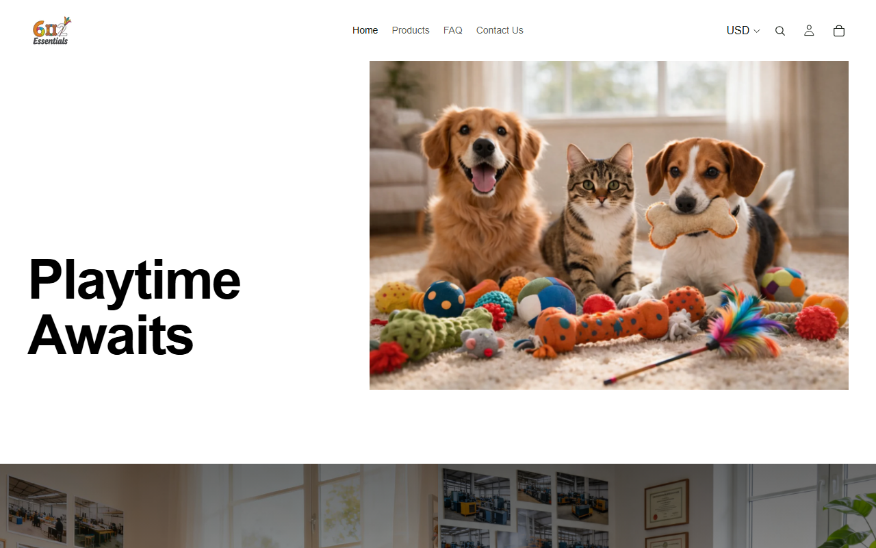 602essentials.com screenshot