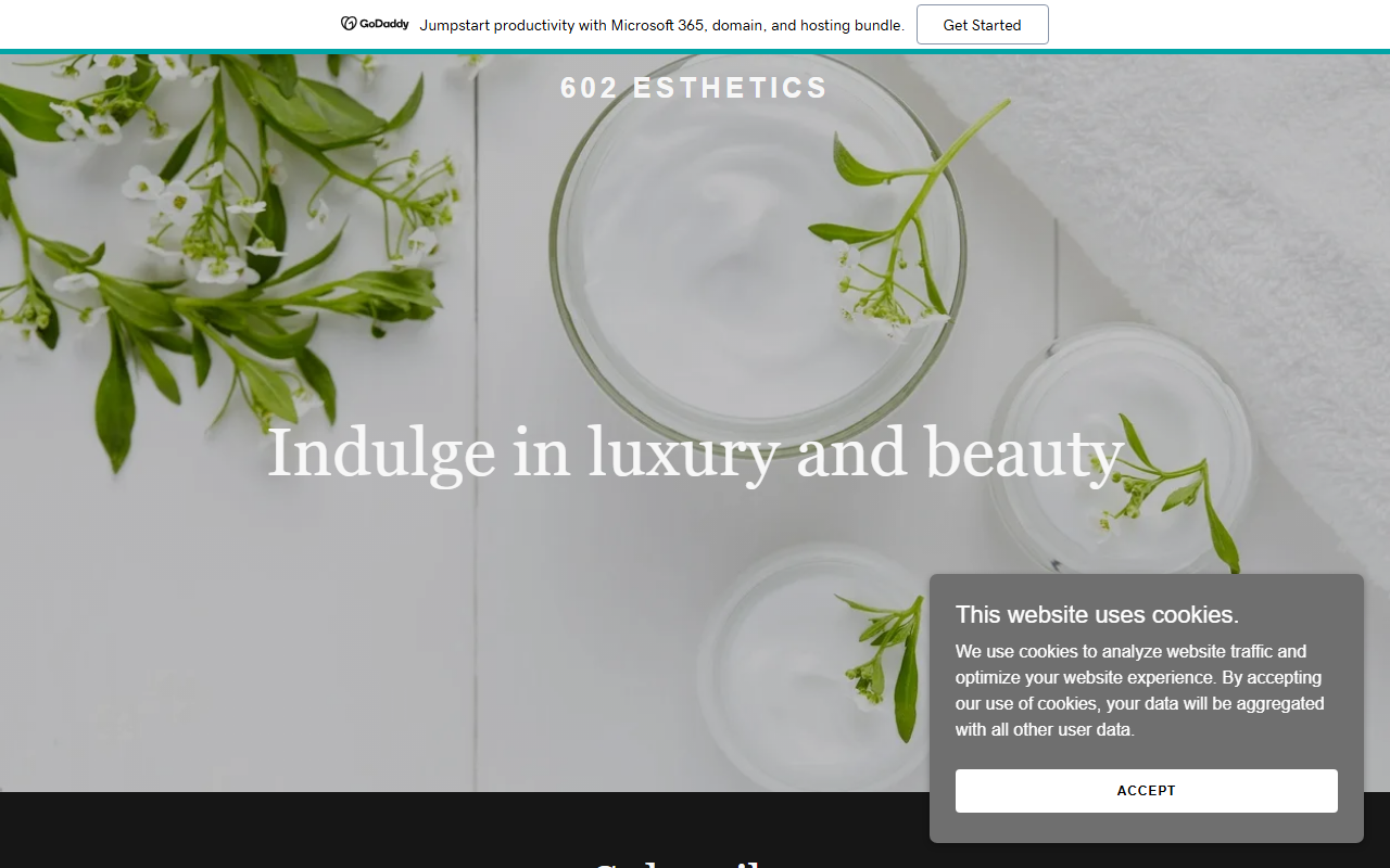602esthetics.com screenshot
