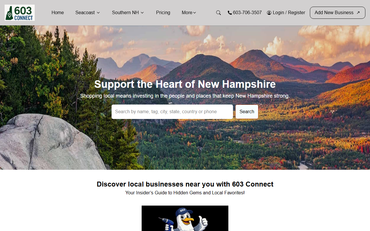 603connect.com screenshot