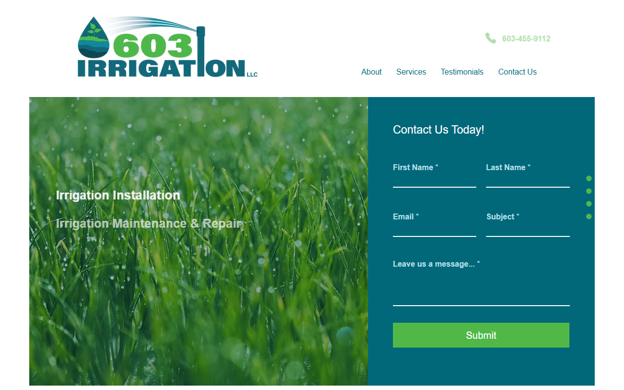 603irrigation.com screenshot