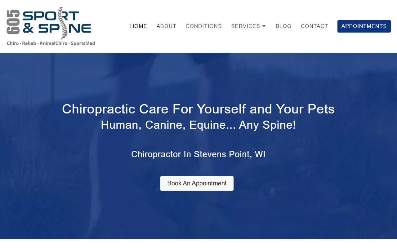 605sportandspine.com screenshot