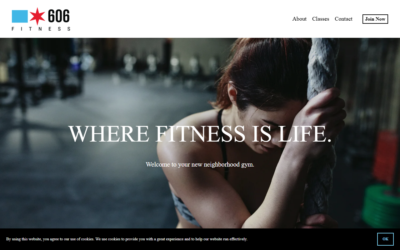 606fitnesschi.com screenshot
