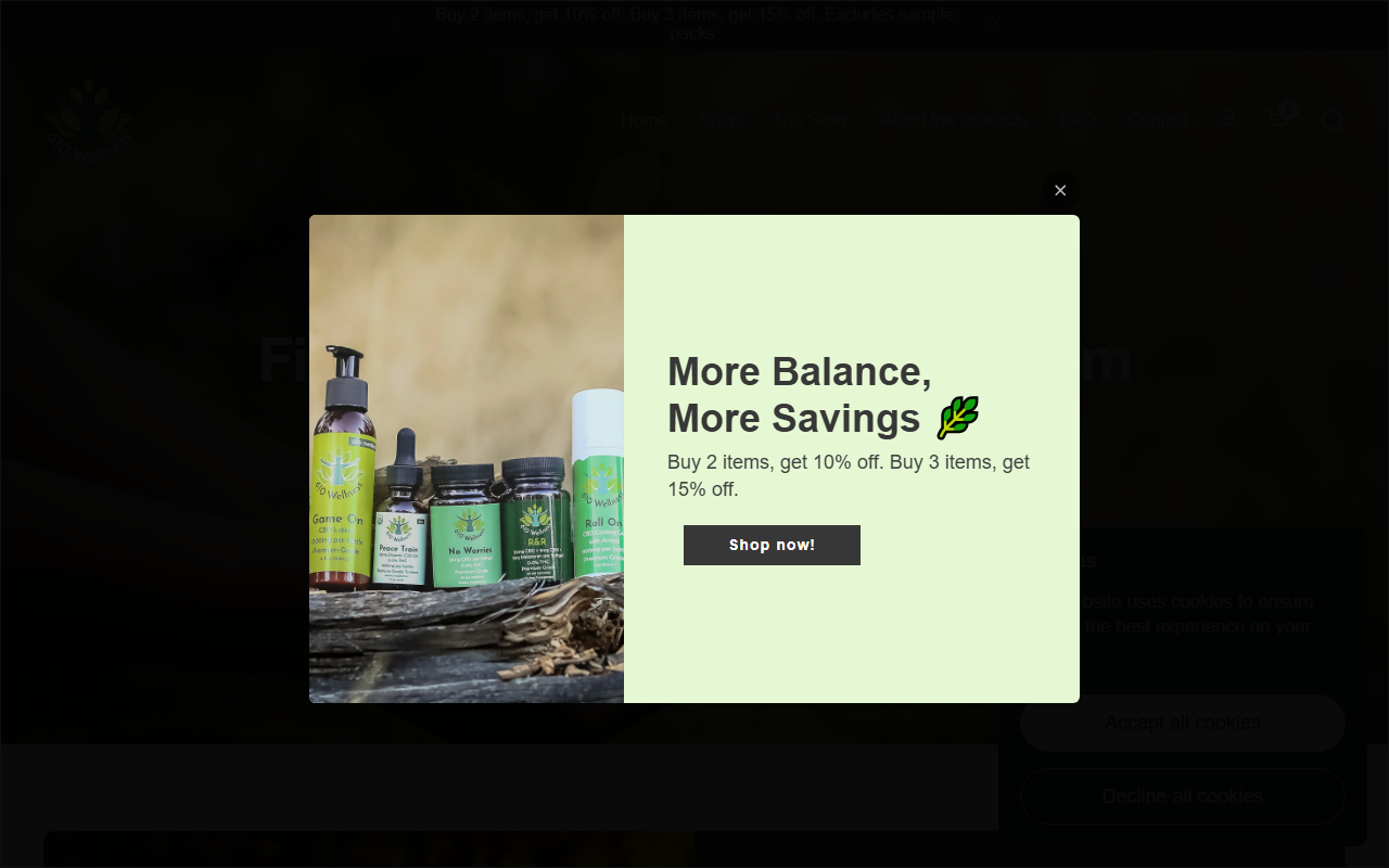 610wellness.com screenshot