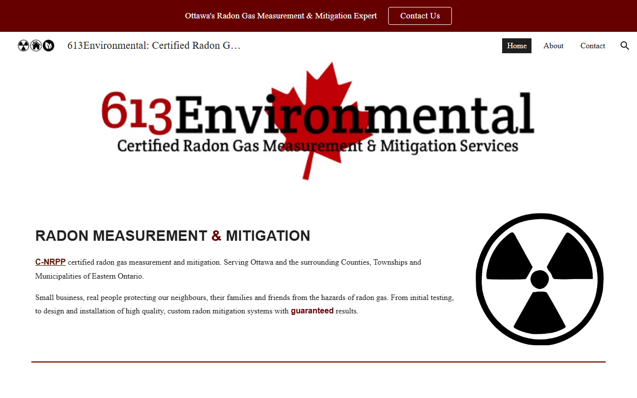 613environmental.com screenshot