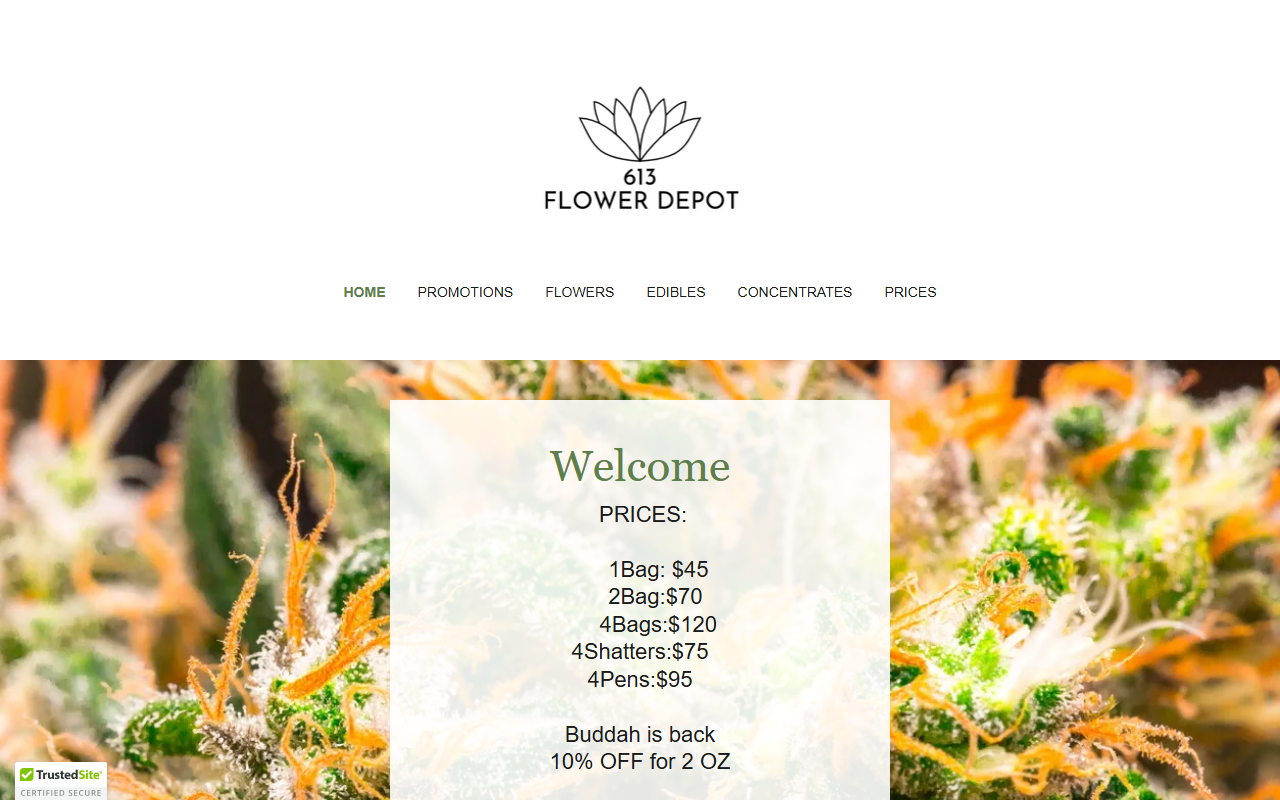 613flowerdepot.com screenshot
