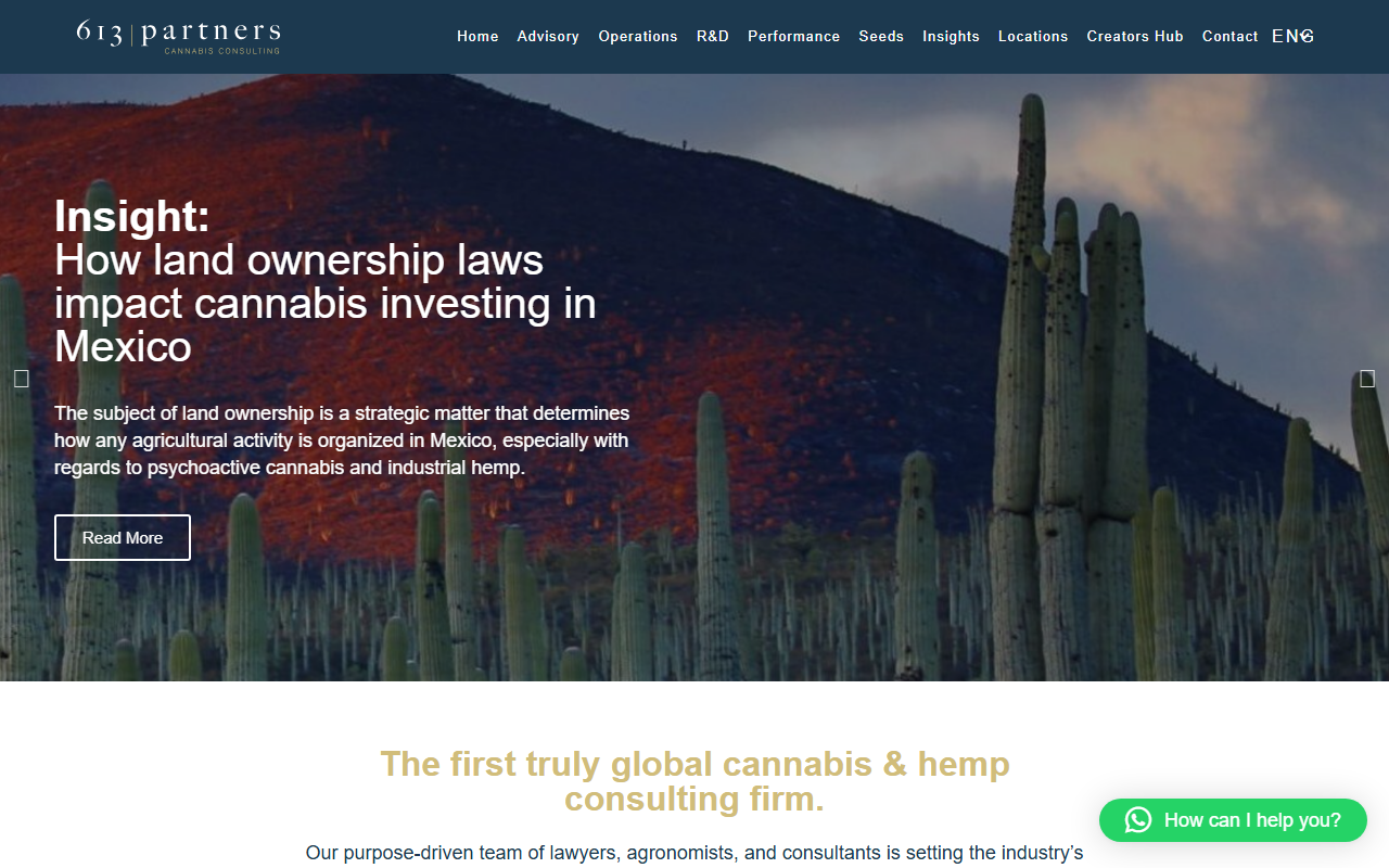 613partners.com screenshot