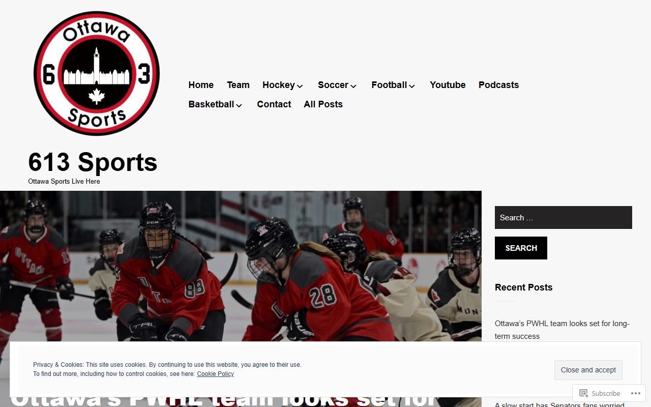613sportsblog.com screenshot