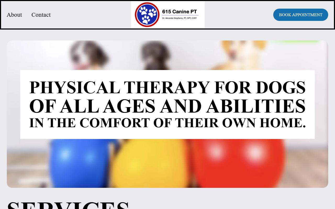 615caninept.com screenshot