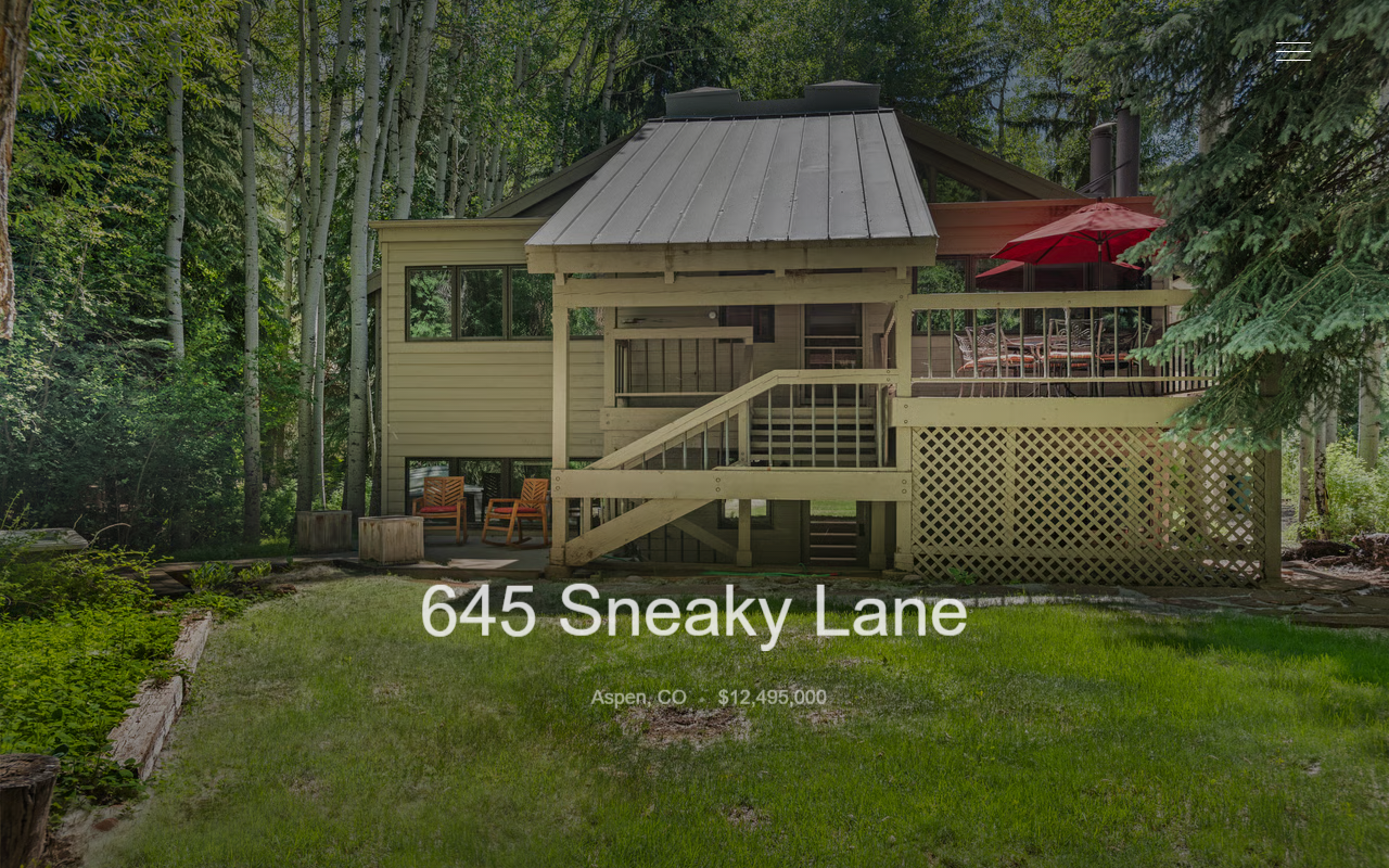 645sneakylane.com screenshot